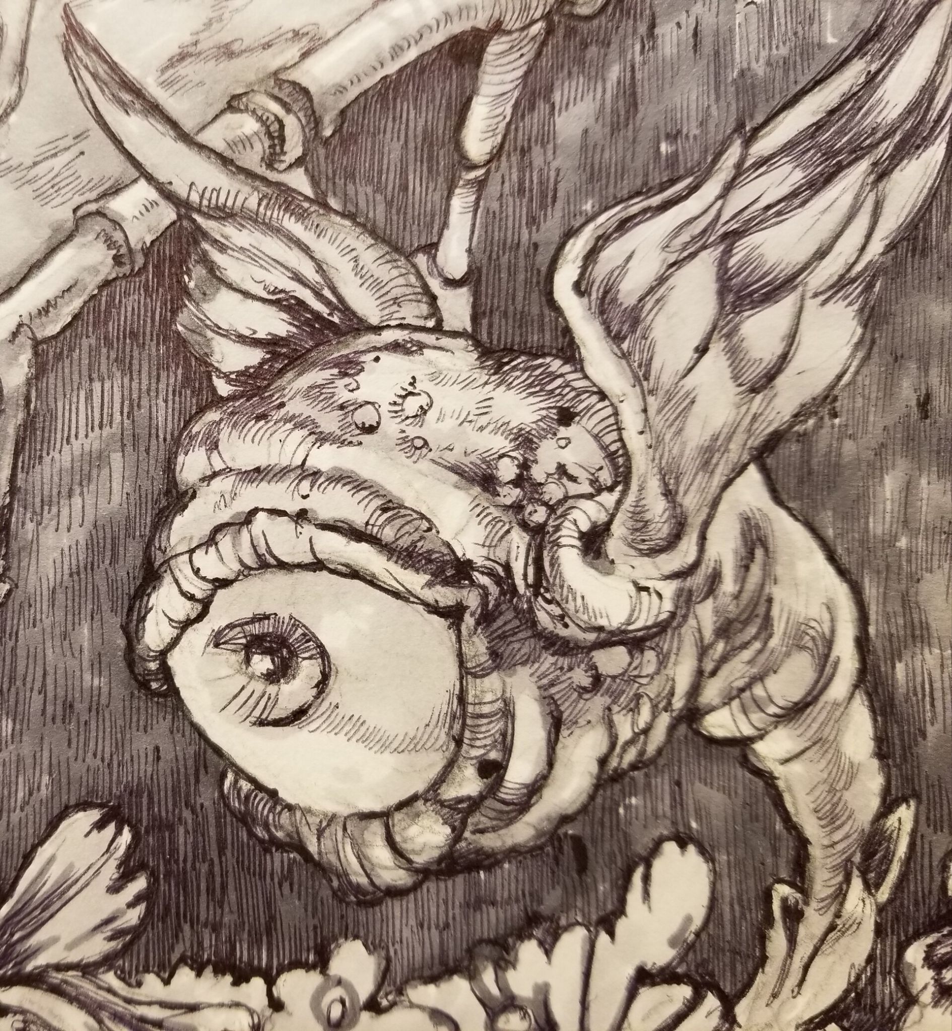 Morgan woolverton theridecu3